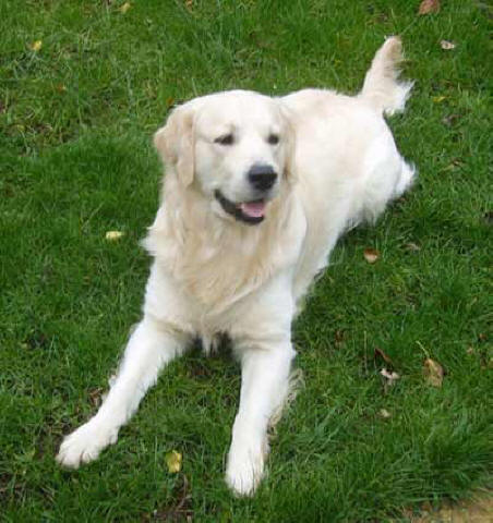 Benson