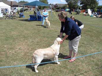 Second at Berkshire Downs
