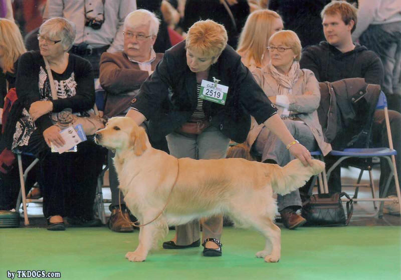 Clodah at Crufts 2011