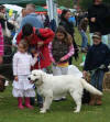 Harris's first attempt in show ring