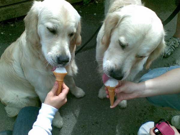 Harvey and Benson