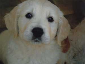 Benson