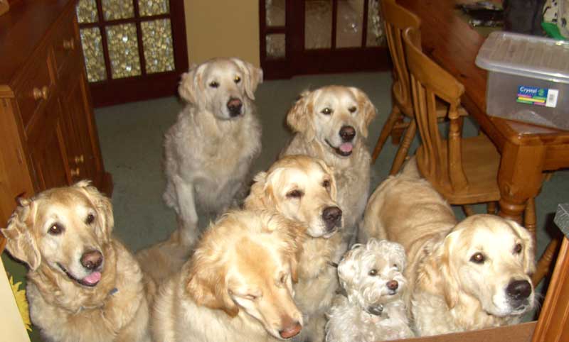 Karen and Mark's boys