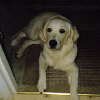 Zelah as a baby