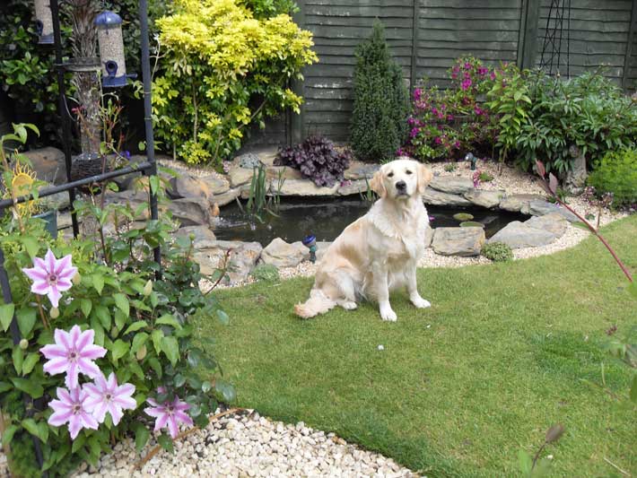 Zelah by her new fish pond